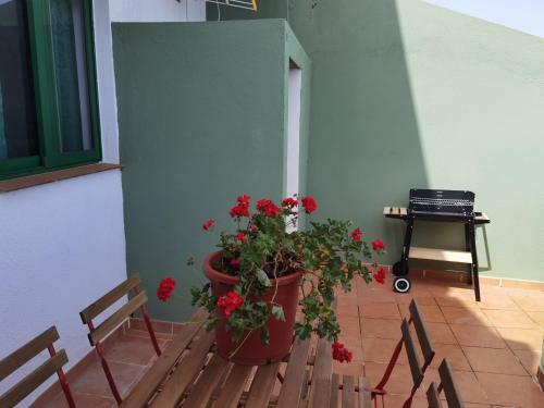 Apartamento Apkanariooo