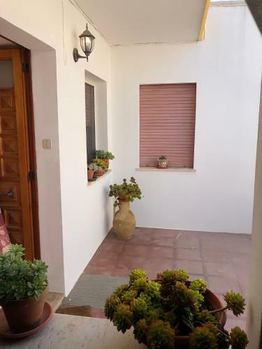 Apartamento Emily?s House