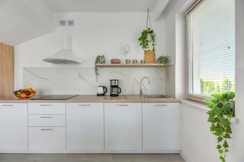 Apartamento Rewa Park