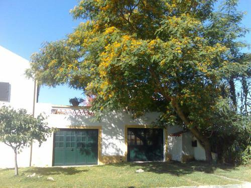 Apartamento Inn Comenda House