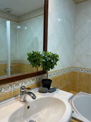 Apartamento Inn Comenda House