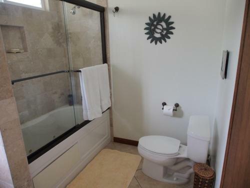 South Kona Coast Ocean View Luxury -pool