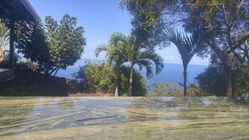 South Kona Coast Ocean View Luxury -pool