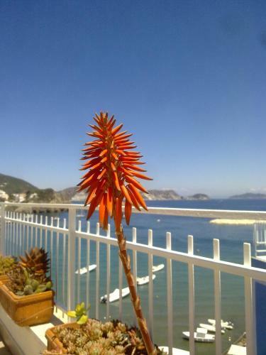 Hotel La Baia
