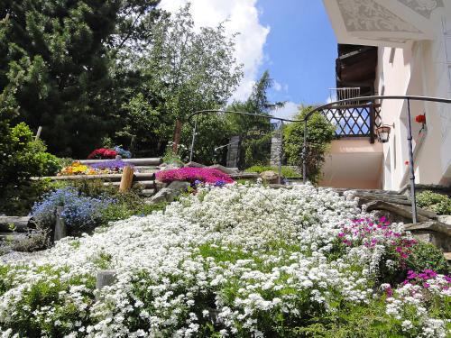 Apartment Chesa La Baita St.moritz-dorf