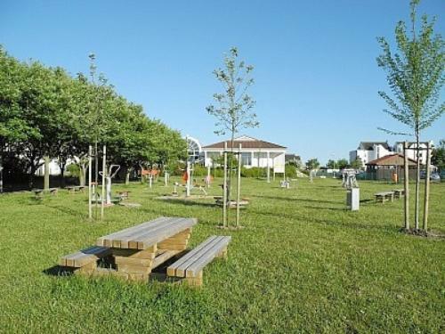 Apartamento Strandperle 7 - A69716