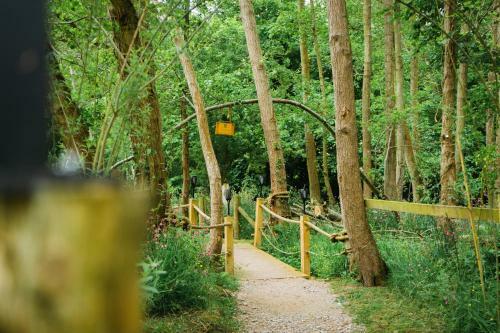 Lodge Emlyn's Coppice