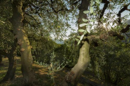 Villa D'epoca Le Cap�le