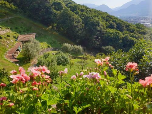 Villa D'epoca Le Cap�le