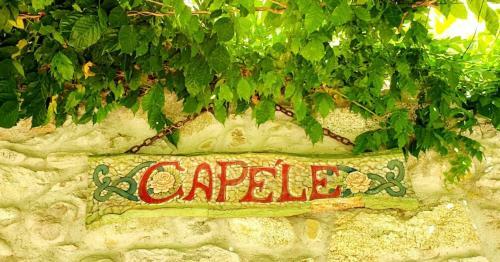 Villa D'epoca Le Cap�le