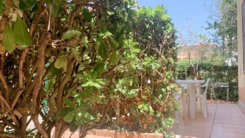 Le Castella Garden Apartment