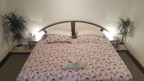 Gro�es Zimmer In Souterrain