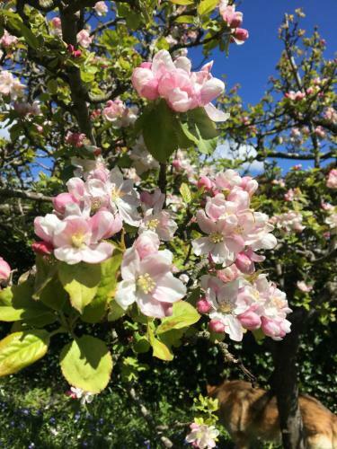 Bed & Breakfast Strand House