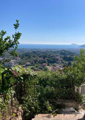 Prima Stella Guest House