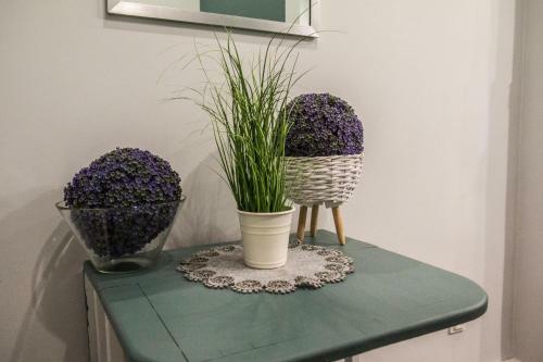 Apartament Atramentowy