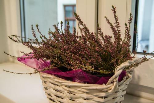 Apartament Atramentowy