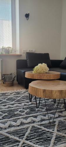 Apartament W Centrum Chopina 6
