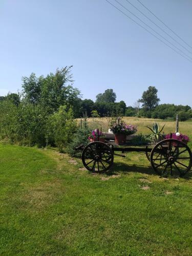 Domki Bia?ogarda