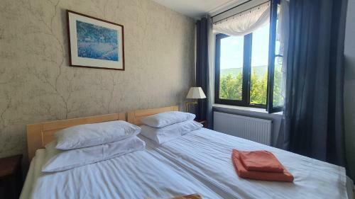 Hostal ?omiankowa Dolina Wetlina 112