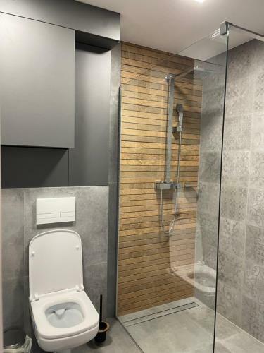 Apartament Z Klimatem II