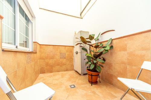 Apartamento Clavel