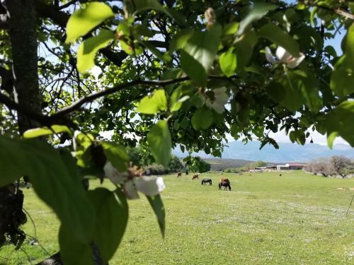 Villa Casa Rural La Molina 4*