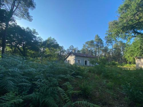 Maison Foresti�re Sur Le Site D?un Ancien Moulin