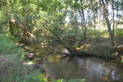 Maison Foresti�re Sur Le Site D?un Ancien Moulin