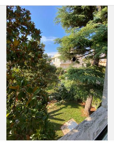 Apartamento Appartamento In Centro A 300 M Dal Mare
