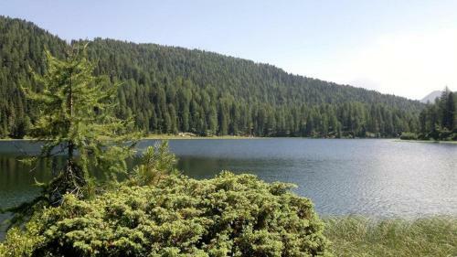 Ski&bike Apartment Passo Tonale