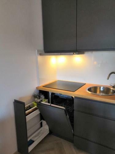 Ski&bike Apartment Passo Tonale