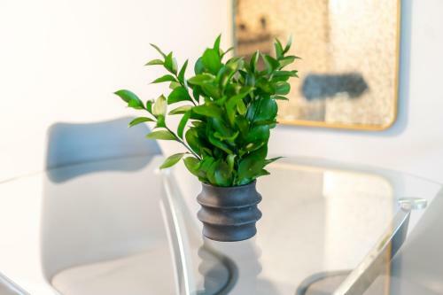 Apartamento Belhaven Heights Lofts By Barsala
