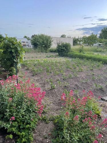Apartamento Appartement Dans Maison Avec Cour Et Parc
