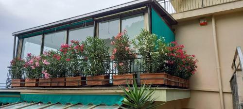 Apartamento La Terrazza Sul Golfo