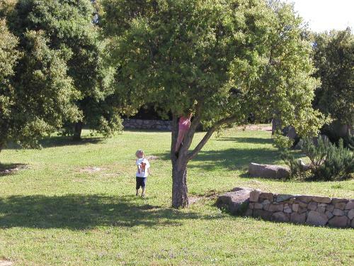 Agroturismo Li Pireddi
