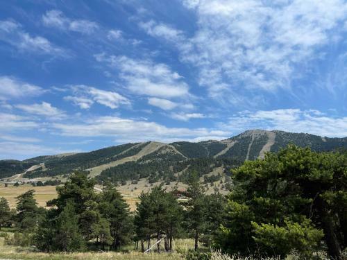 Apartamento La Marmotte Enchant�e - Gr�oli�res Les Neiges