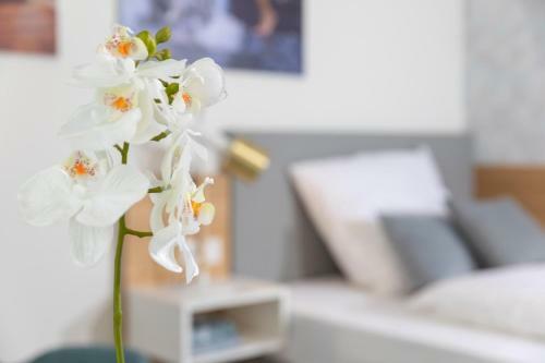 Apartamento Nino-boardinghouse 19 - A69889