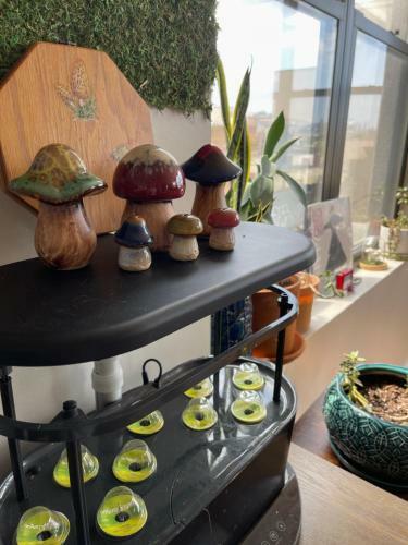 Apartamento The Penthouse