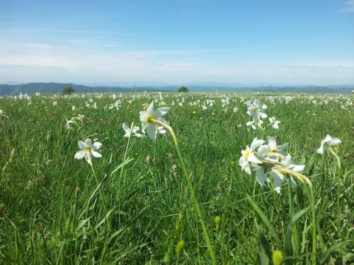 Holiday Home Relax Cagli