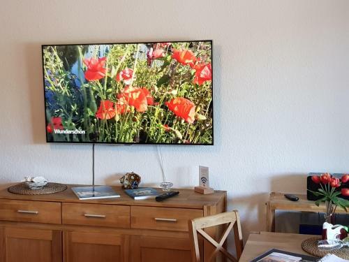 Apartamento Studio 28