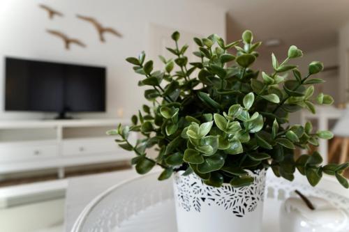 Apartamento Haus Sonnenmeer