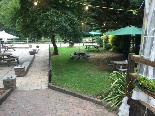 Marwell Activity Centre