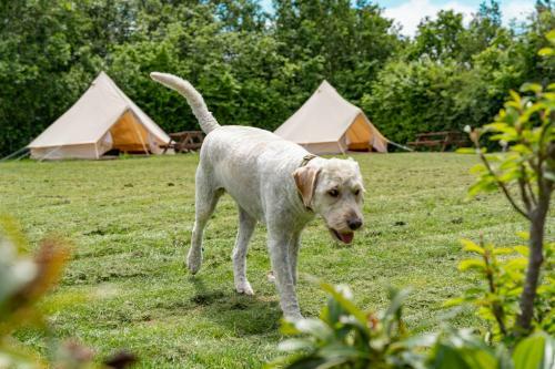 Marwell Activity Centre