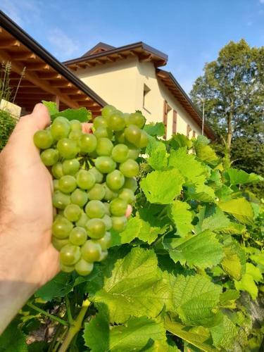 Agroturismo Cascina Teresina