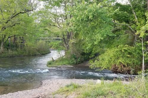 225 The Creek