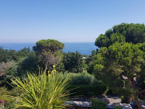 Apartamento Residenza Mimosa
