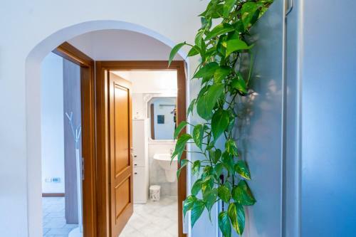 Apartamento Casa Maria