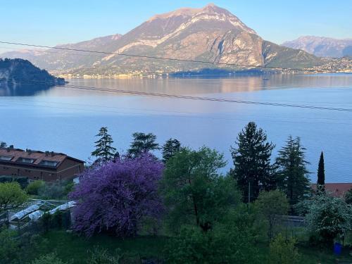 La Punta Di Varenna - Cir 097084-cni-00104