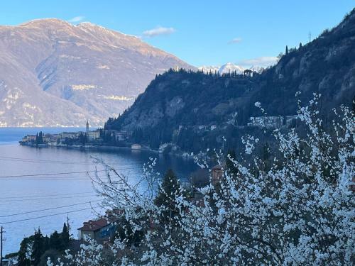 La Punta Di Varenna - Cir 097084-cni-00104