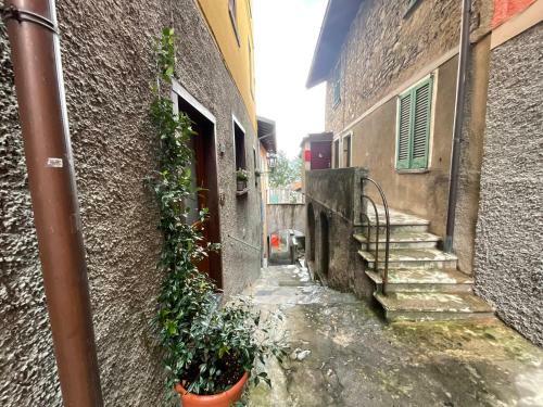 Casa ?la Contrada?